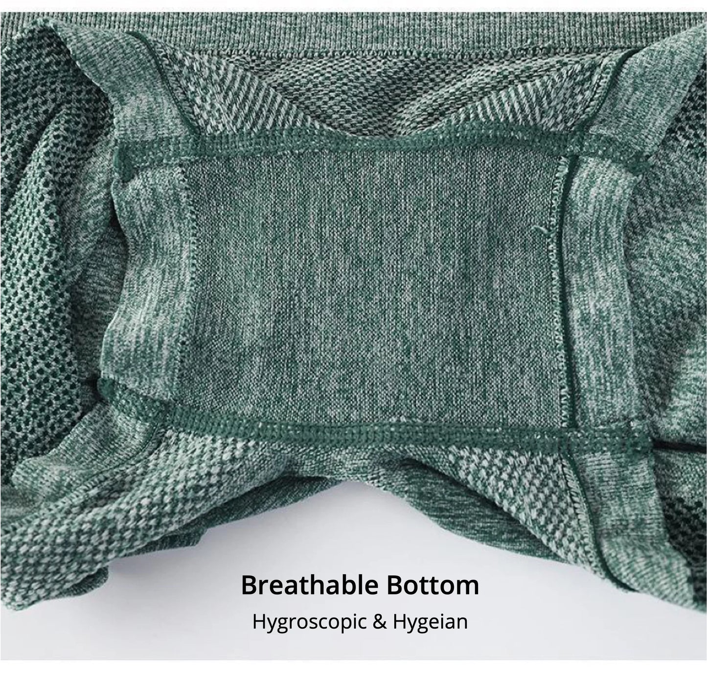 Seamless High Waisted Gym Shorts